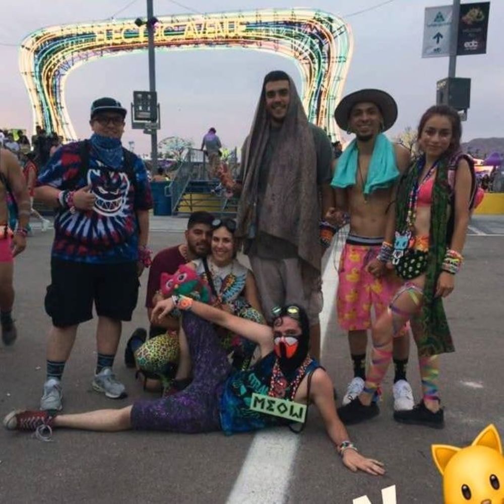 Meet your Posher, Chip